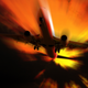 Illustration for article titled Would You Fly Flight 666 To HEL On Friday The 13th?